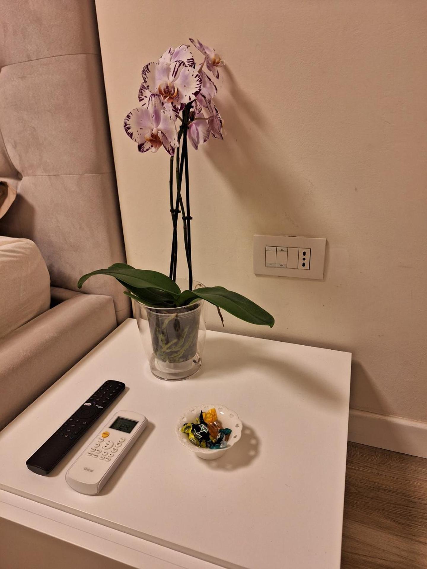 Il Colibri Apartamento Alghero Exterior foto